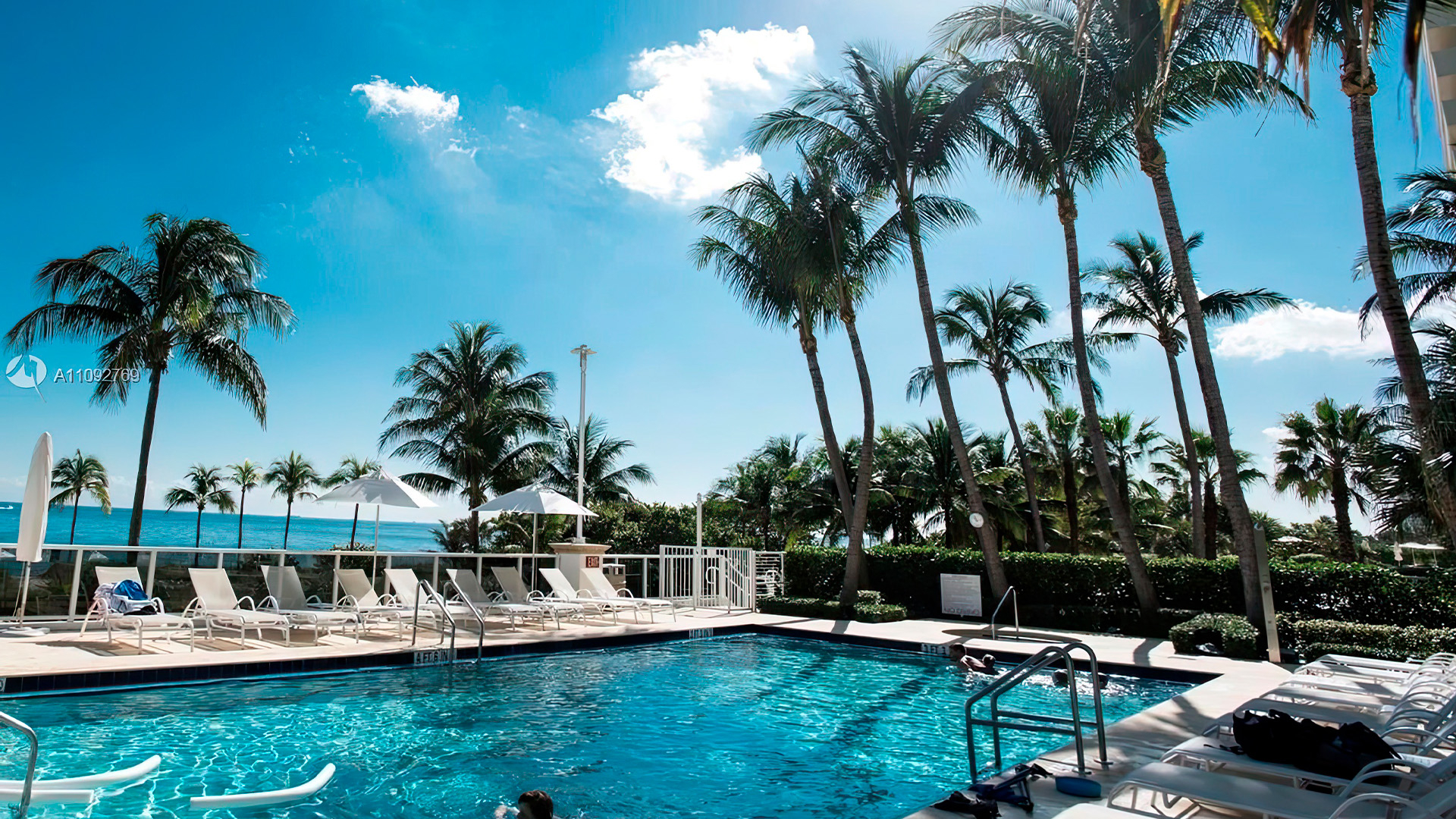 pool and palms - billini condo - Bal Harbour